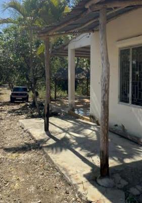 nhà vườn có sẵn rộng 3 hecta cách Nha Trang 30p giá rẻ, xã 🏘️ Diên Thọ, Diên Khánh, Khánh Hoà