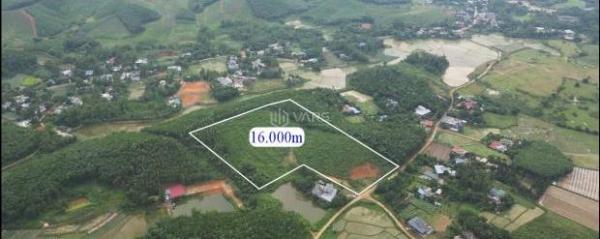 🔥 Chỉ 600k/m² sở hữu ngay 1,6ha đất cạnh Serena Kim Bôi 🌊 – Cơ hội đầu tư hiếm có!