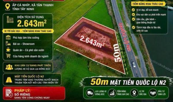 BÁN 50M ĐẤT MẶT TIỀN 🌊 QUỐC LỘ N2 – XÃ TÂN THẠNH, TỈNH TÂY NINH
