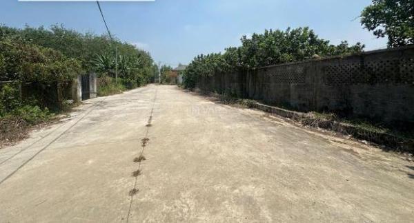 Bán đất vườn bưởi ☘ view Đồng Nai