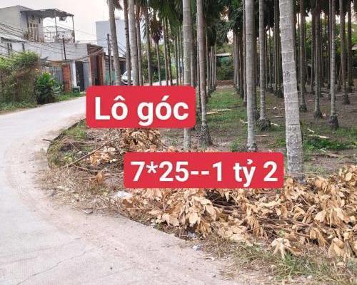 Bán 3 lô thổ cư liền kề đường beton oto Đức Lập Thượng, Đức Hòa 🏣 giá 800tr - 1 tỷ - 1,2tỷ