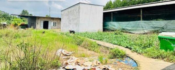 X159 bán xưởng, trại heo đang hoạt động ổn 🏦 định, vị trí xa dân cư, có