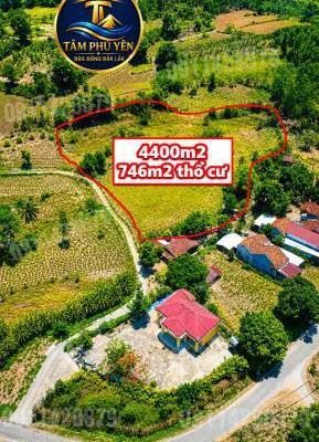 Lô đất 👍 diện tích lớn 4400m2, sổ hồng riêng, thổ cư 753m2, view hồ tuyệt đẹp