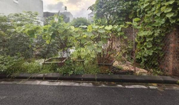Cần bán Đất nền riêng lẻ 65m²