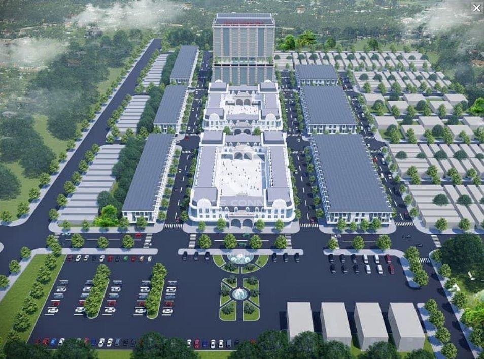 Hình ảnh 2
