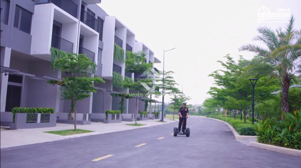 Hình ảnh 14