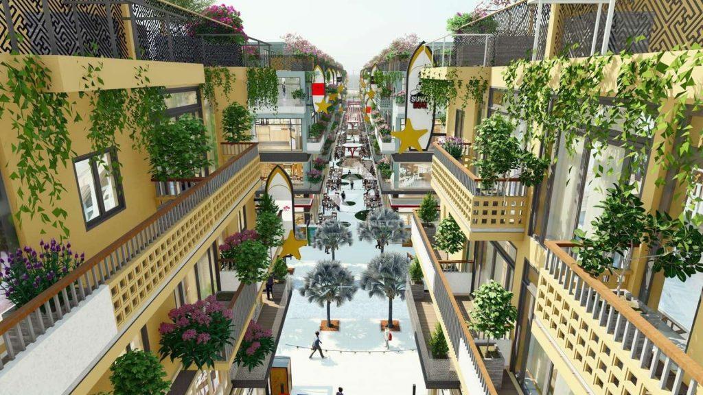 Hình ảnh 8