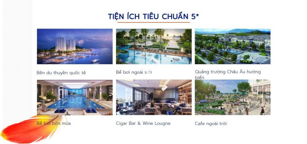 Hình ảnh 11