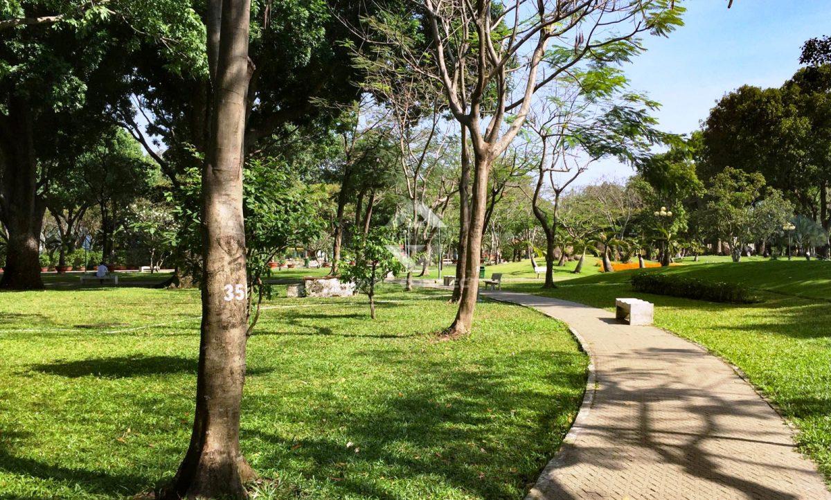 Hình ảnh 16