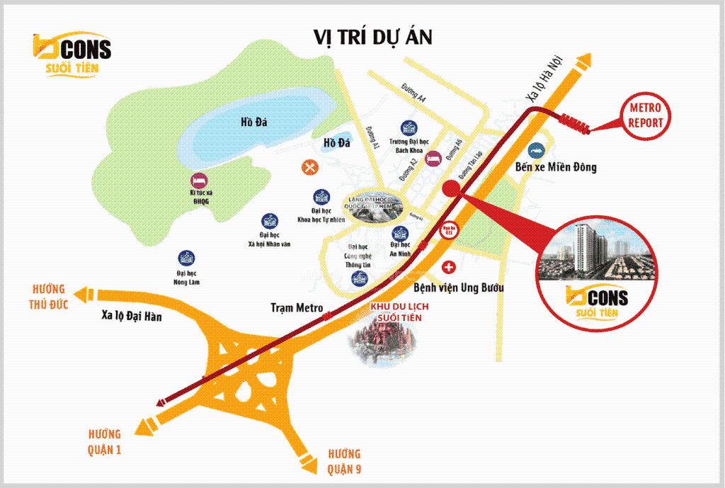 Hình ảnh 8