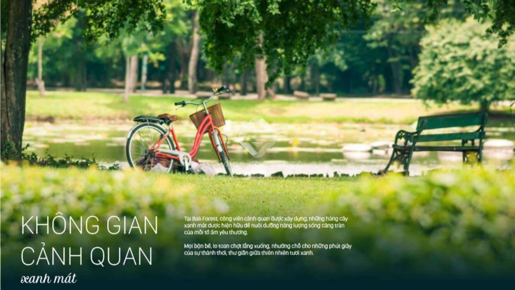 Hình ảnh 5